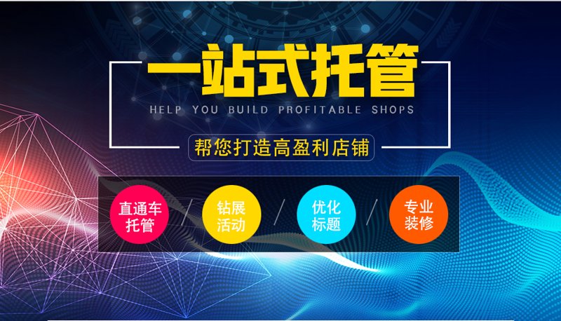 SEO站群：网站布局的新趋势